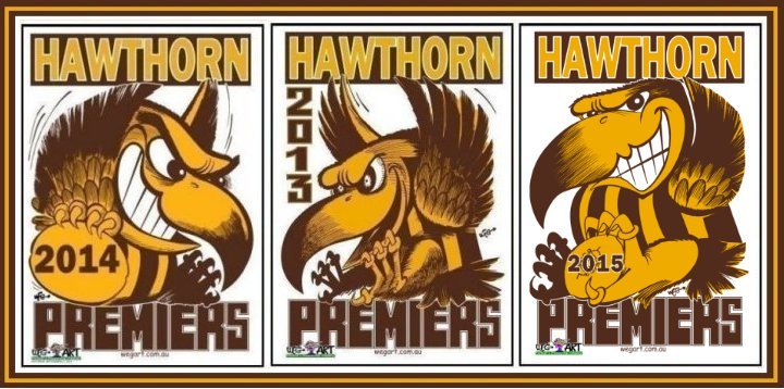 2013, 2014 & 2015 Hawks Premiership Posters